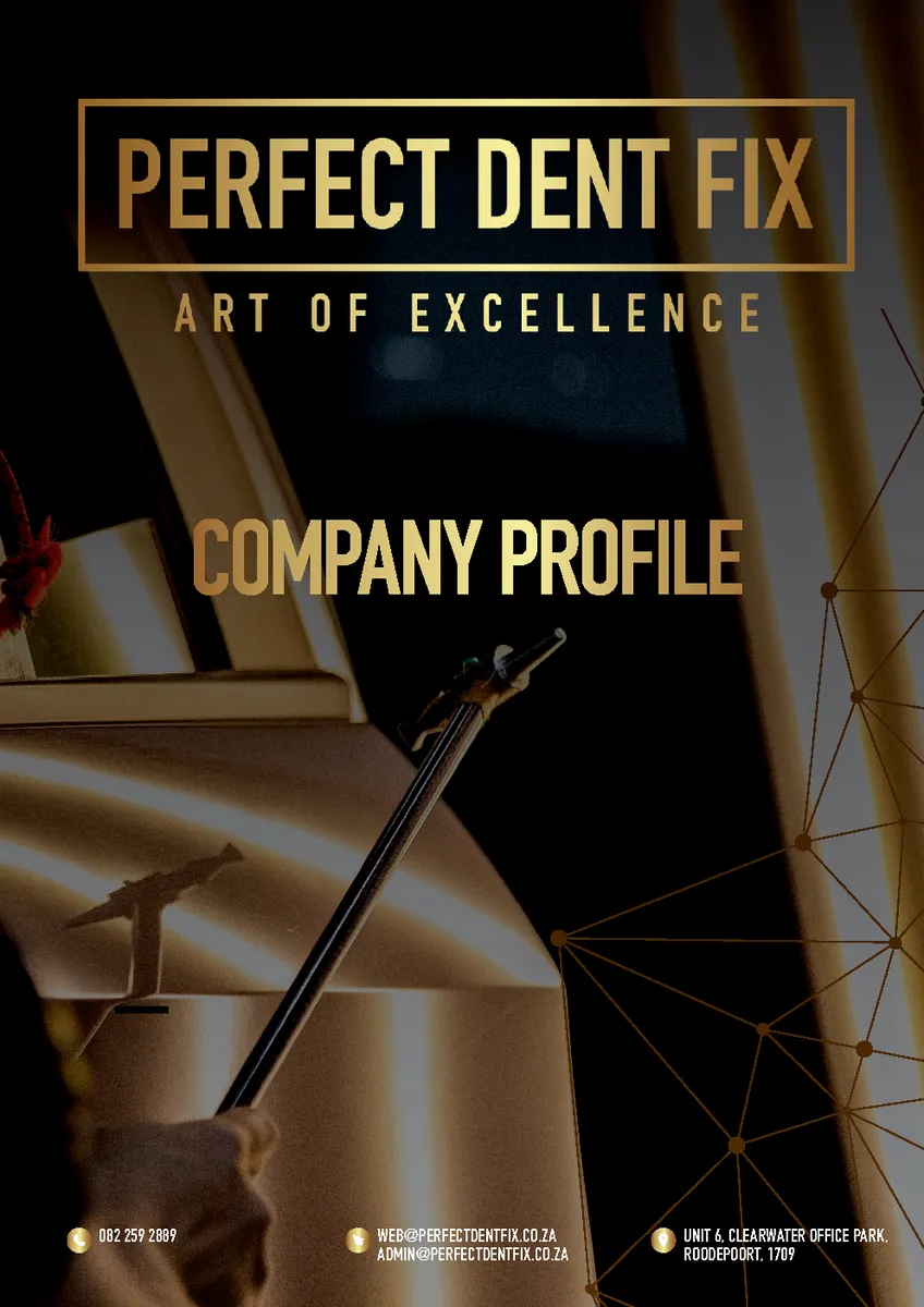 Perfect Dent Fix — Company Profile page 1