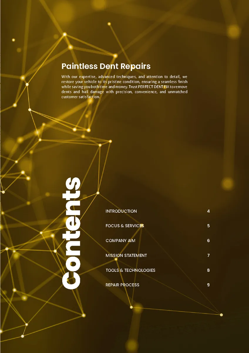 Perfect Dent Fix — Company Profile page 3