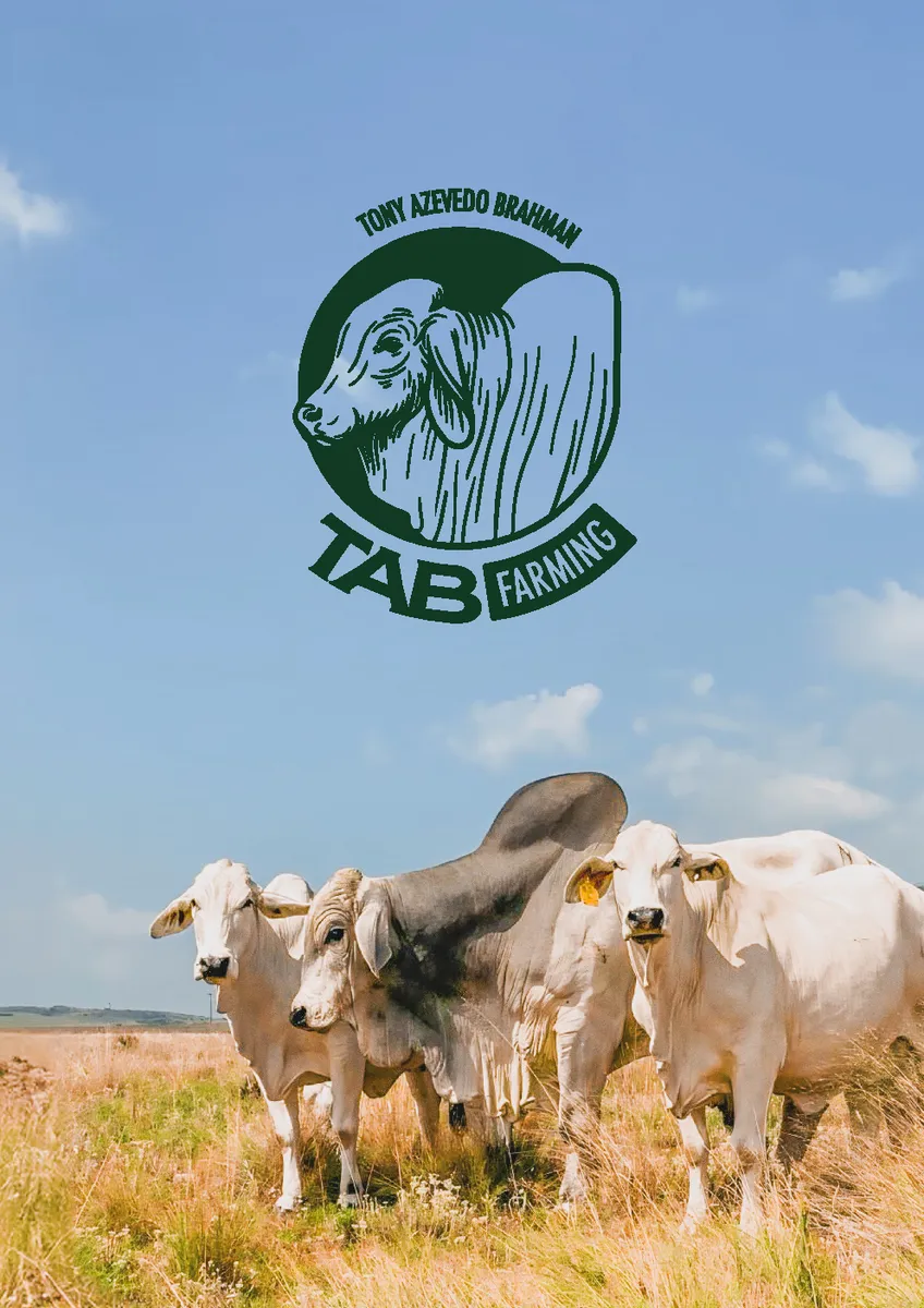 TAB Farming — Brand Guide page 1